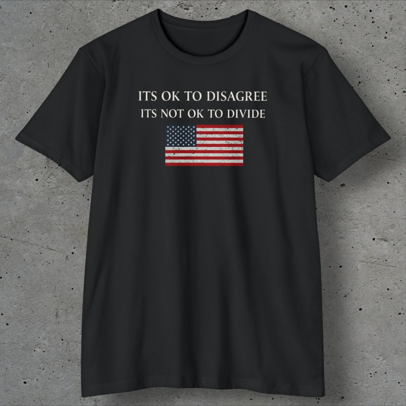 It’s OK to Disagree | Find Common Ground Patriotic T-Shirt - Image 4